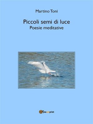 cover image of Piccoli semi di luce--Poesie meditative